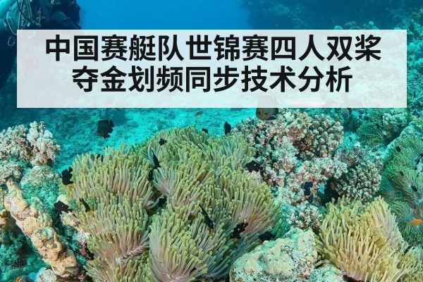 中国赛艇队世锦赛四人双桨夺金划频同步技术分析