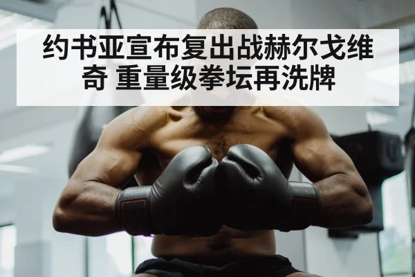 约书亚宣布复出战赫尔戈维奇 重量级拳坛再洗牌
